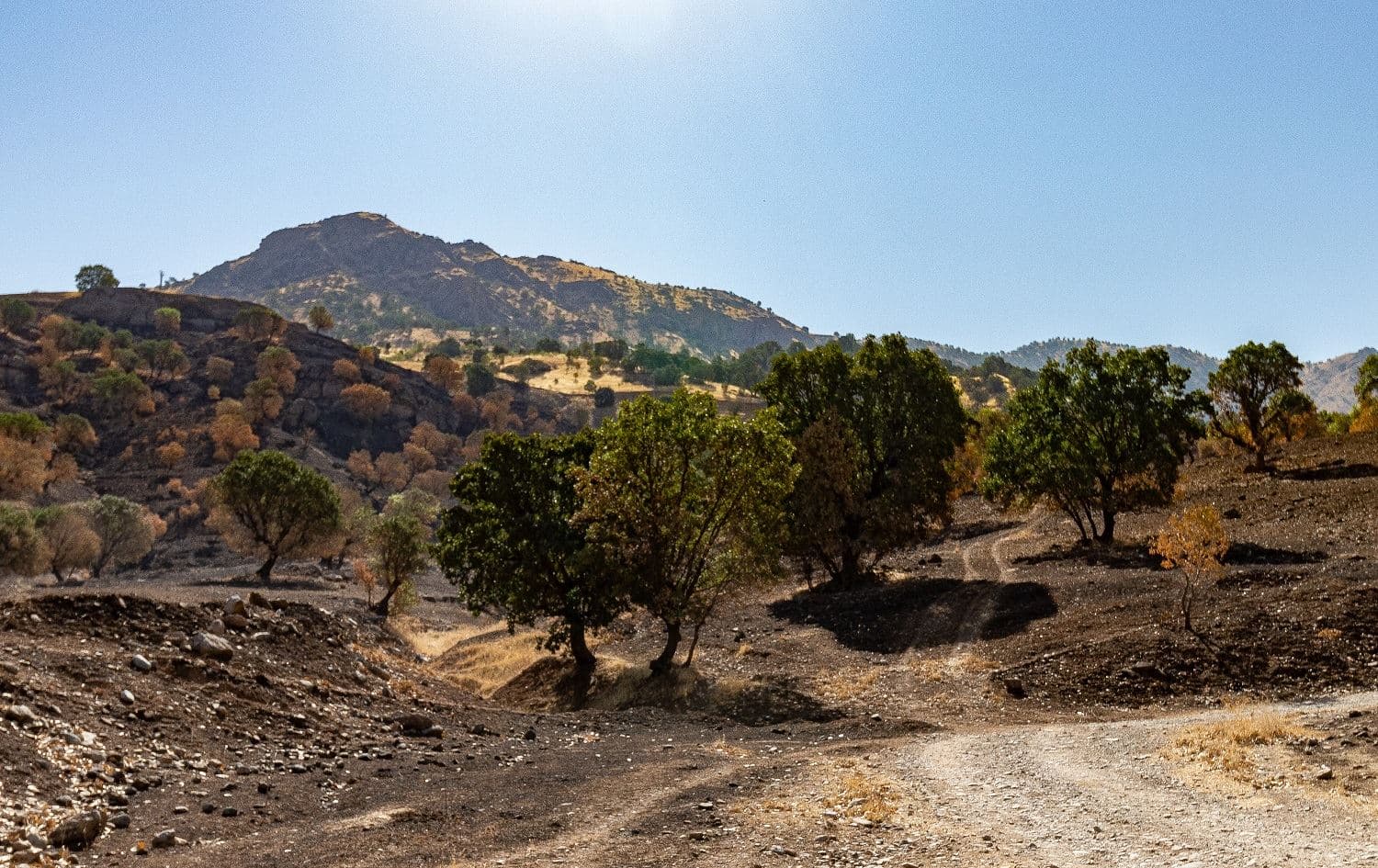 Nearly 50,000 acres of Kurdistan Region land torched by Turkey’s bombs this summer: report