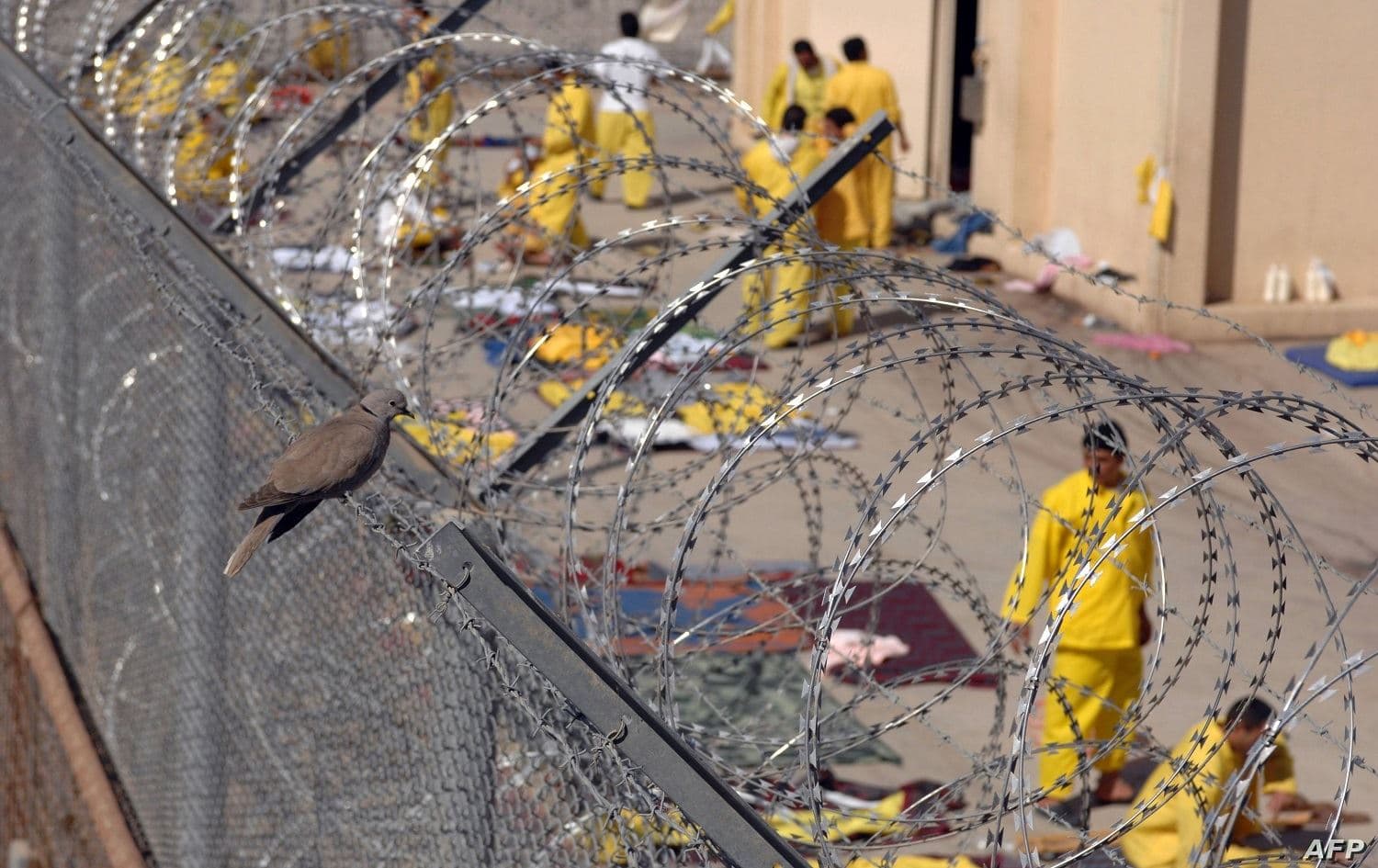 Prisoners in Abu Ghraib, Iraq, in 2013. File photo: AFP