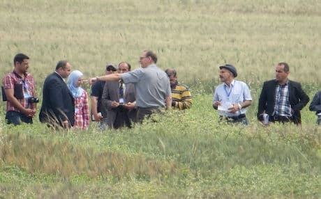 Farm Project May Switch from Mosul to Kurdistan