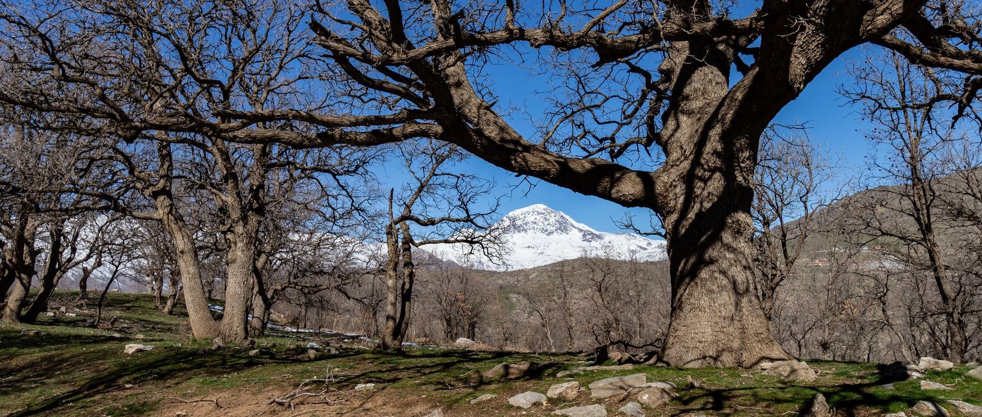 Halgurd-Sakran: National park and battleground