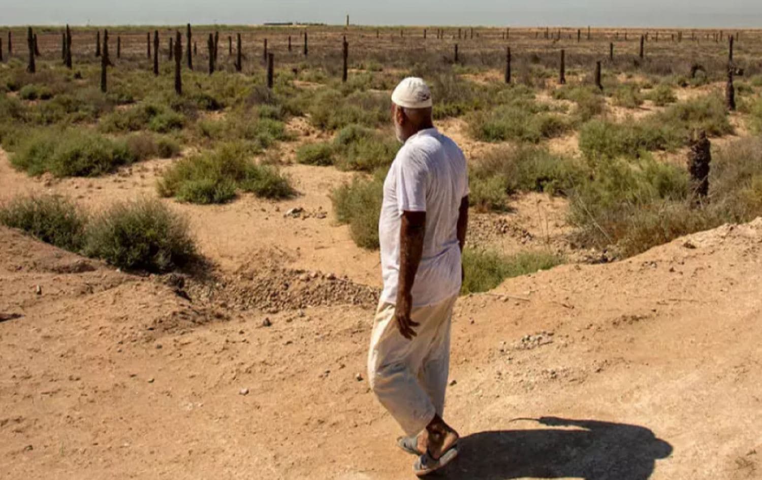 An Iraqi farmer looks at his land in Iraq's southern port city of al-Faw, 90 kilometers south of Basra near the Shatt al-Arab and the Gulf on August 17, 2020. Photo: Hussein Faleh /AFP