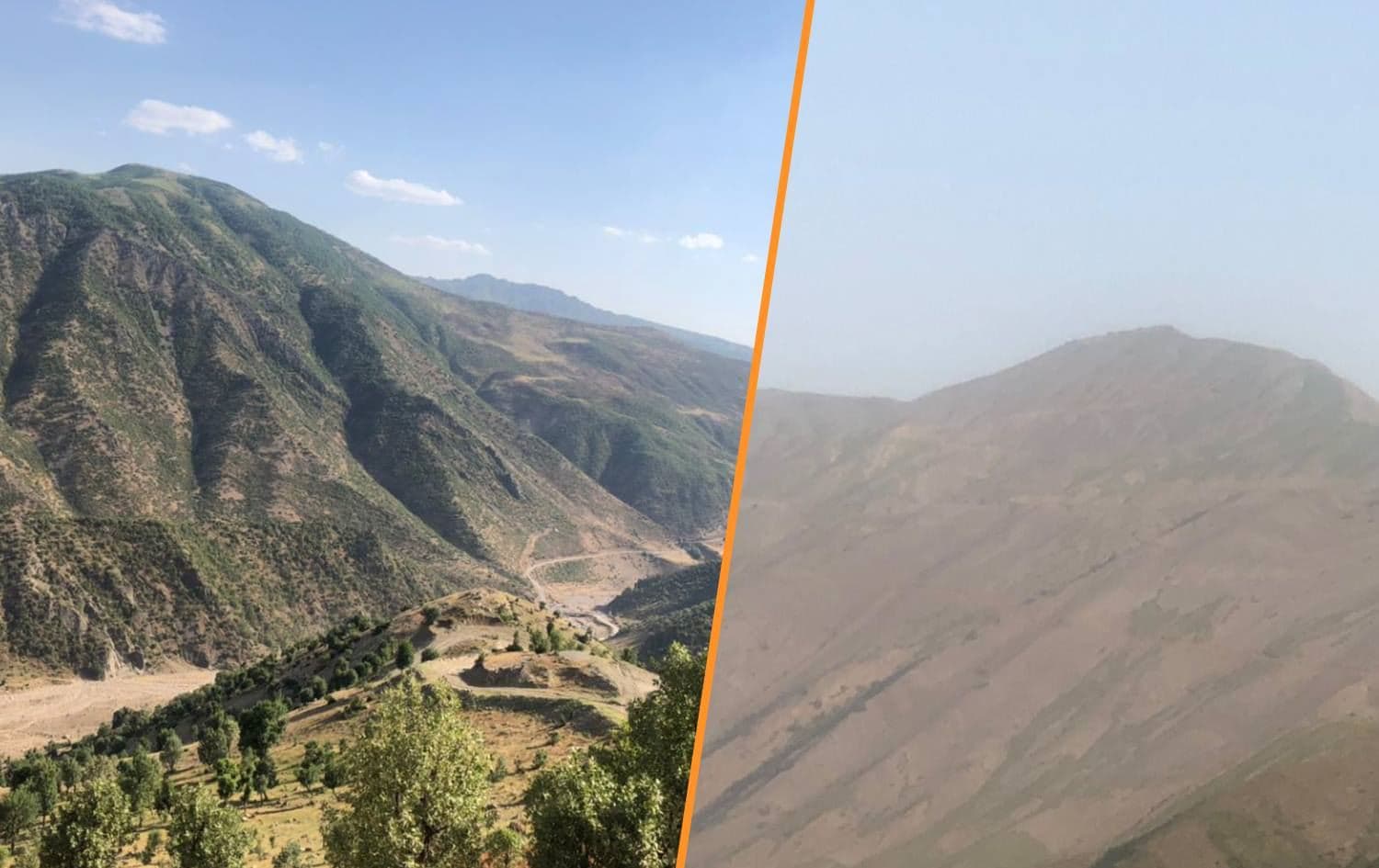 Photos of recent deforestation of Kurdistan Region's bordering areas with Turkey. Photos: Submitted