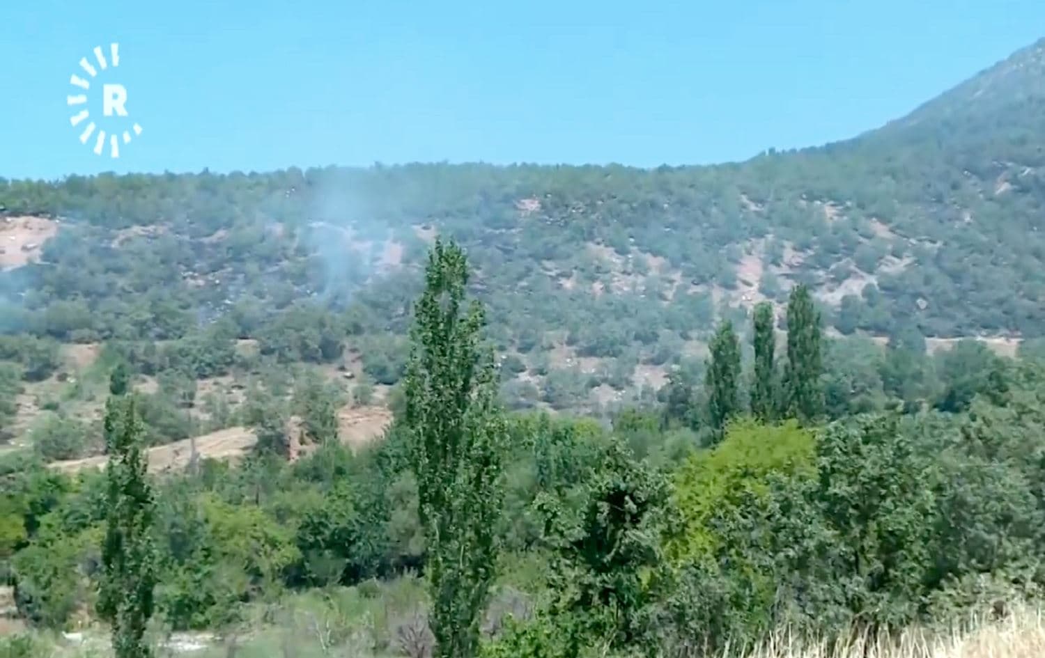 Scorched areas of forest in Kani Masi, Duhok on June 16, 2021. Photo: Rudaw