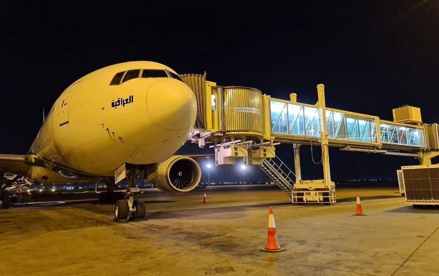 Iraqi migrants arrived in Baghdad on flights on Monday and Tuesday. Photo: Iraqi Airways/Facebook