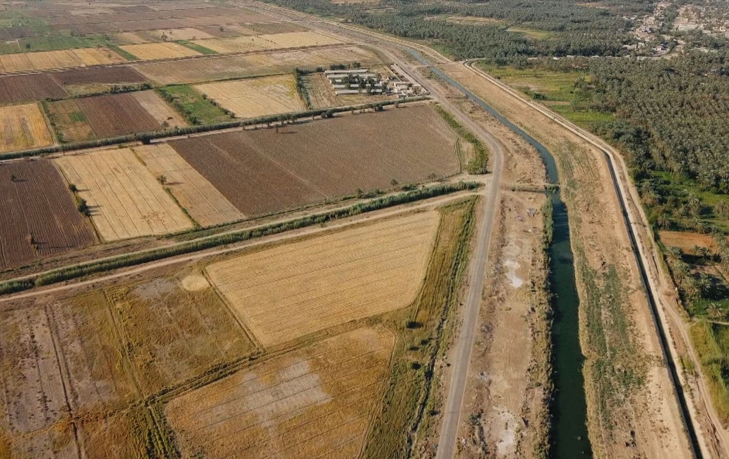Fields in Iraq's Diyala province seen in July 2021. Photo: Rudaw