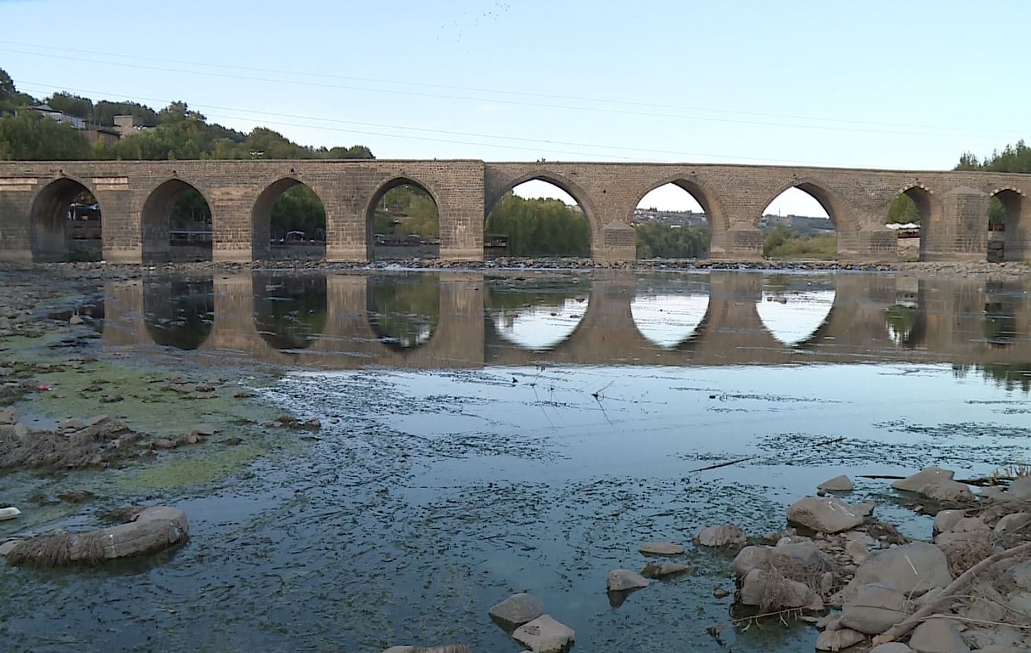 Water shortages kill fish in Turkey’s Tigris River