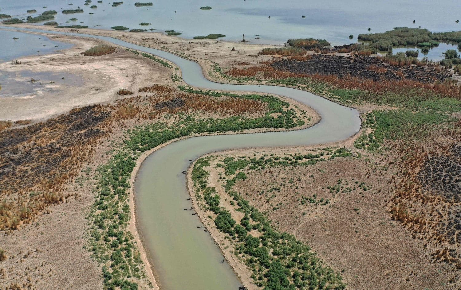 The al-Huwaiza Marshes, 420 km south of Baghdad, are seen on September 24, 2021. Photo: Asaad Niazi/AFP