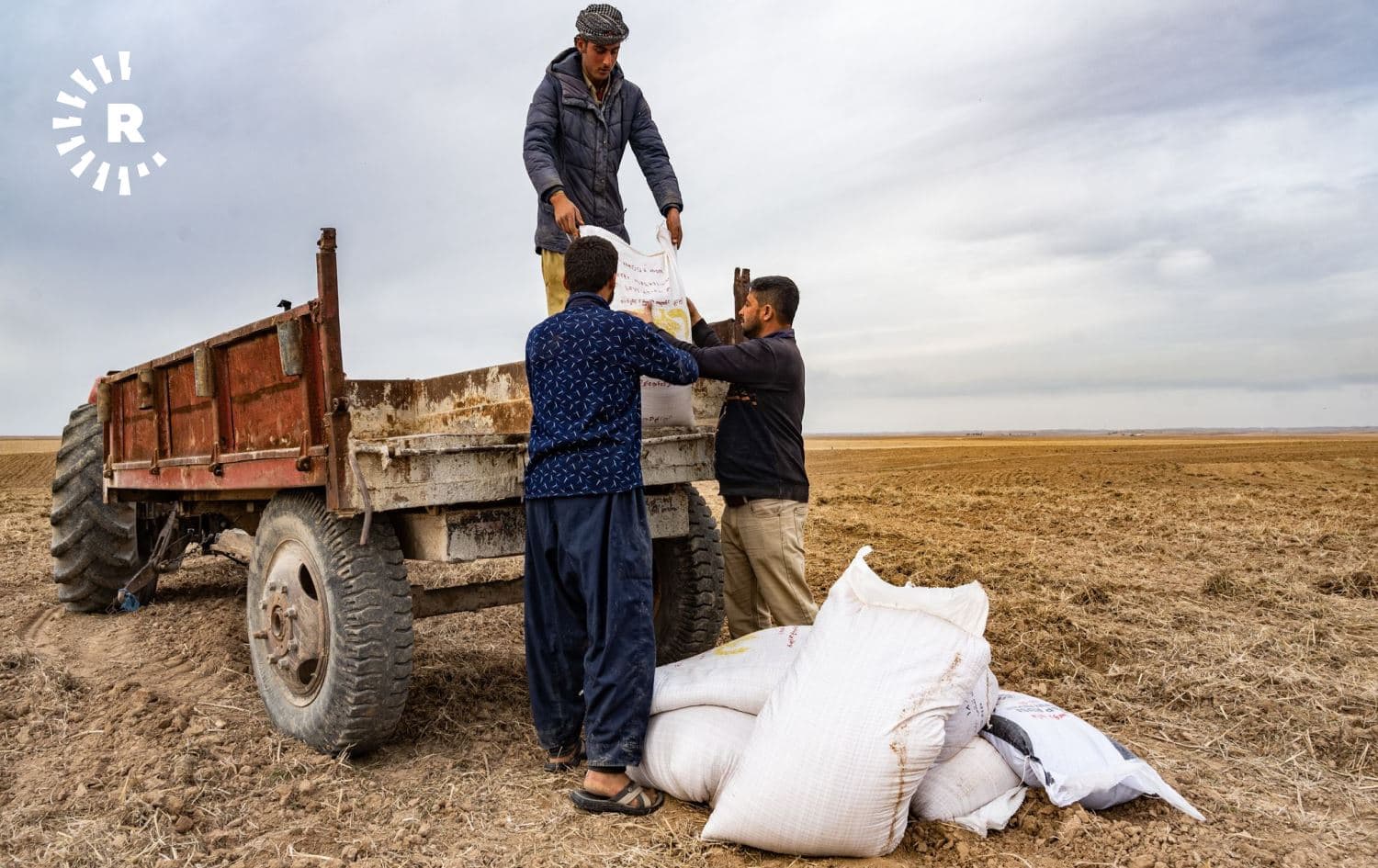Farmers in the Kurdistan Region on December 13, 2020. Photo: Bilind T. Abdullah
