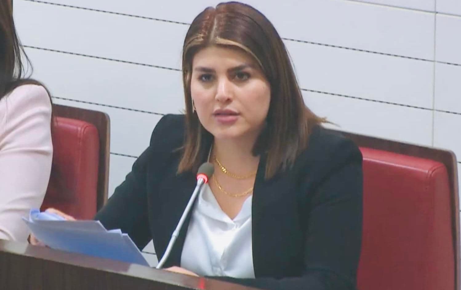 لیزا فەلەکەدین کاکەیی: 200 ملیار دینارەکەی بەغدا بۆ پڕکردنەوەی کورتهێنان خەرجدەکرێت
