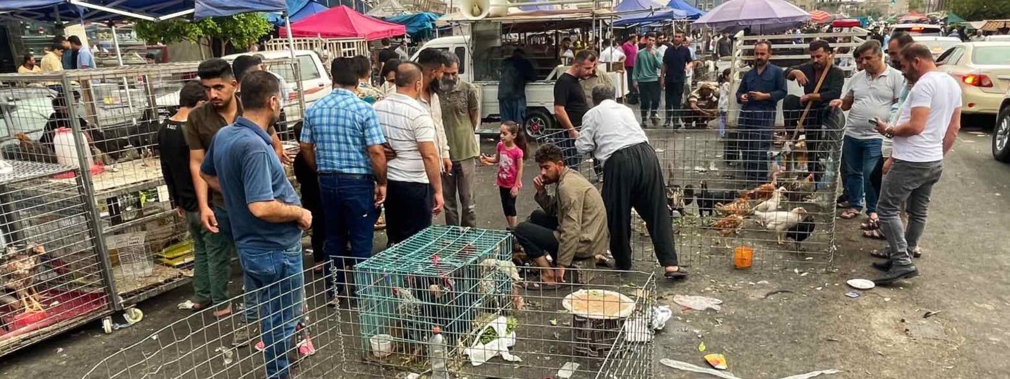 مەیدانی باڵندان لە هەولێر