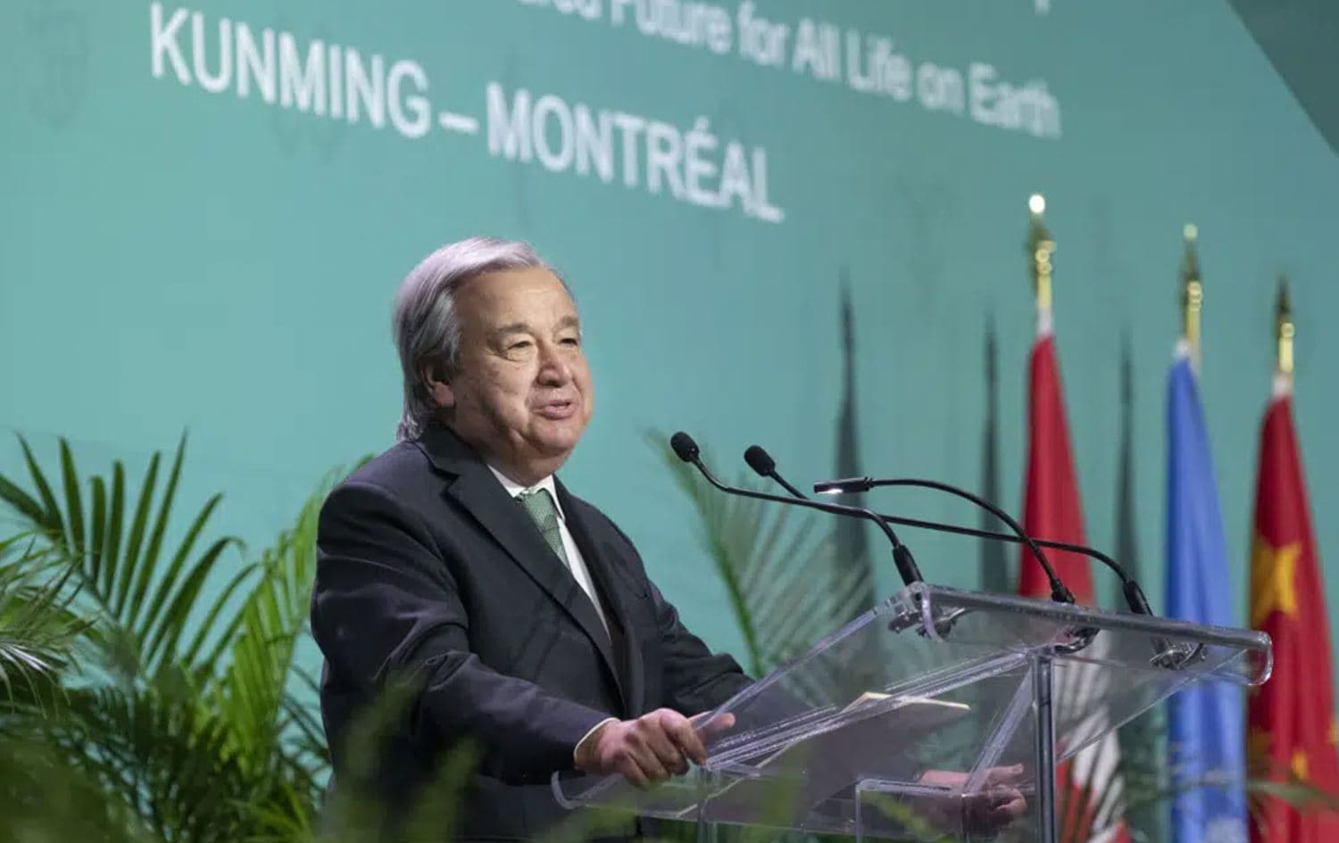 Secretary-General of the United Nations Antonio Guterres delivers remarks during the opening ceremony of COP15, the U.N. Biodiversity Conference in Montreal, on December 6, 2022. Photo: Paul Chiasson/The Canadian Press via AP