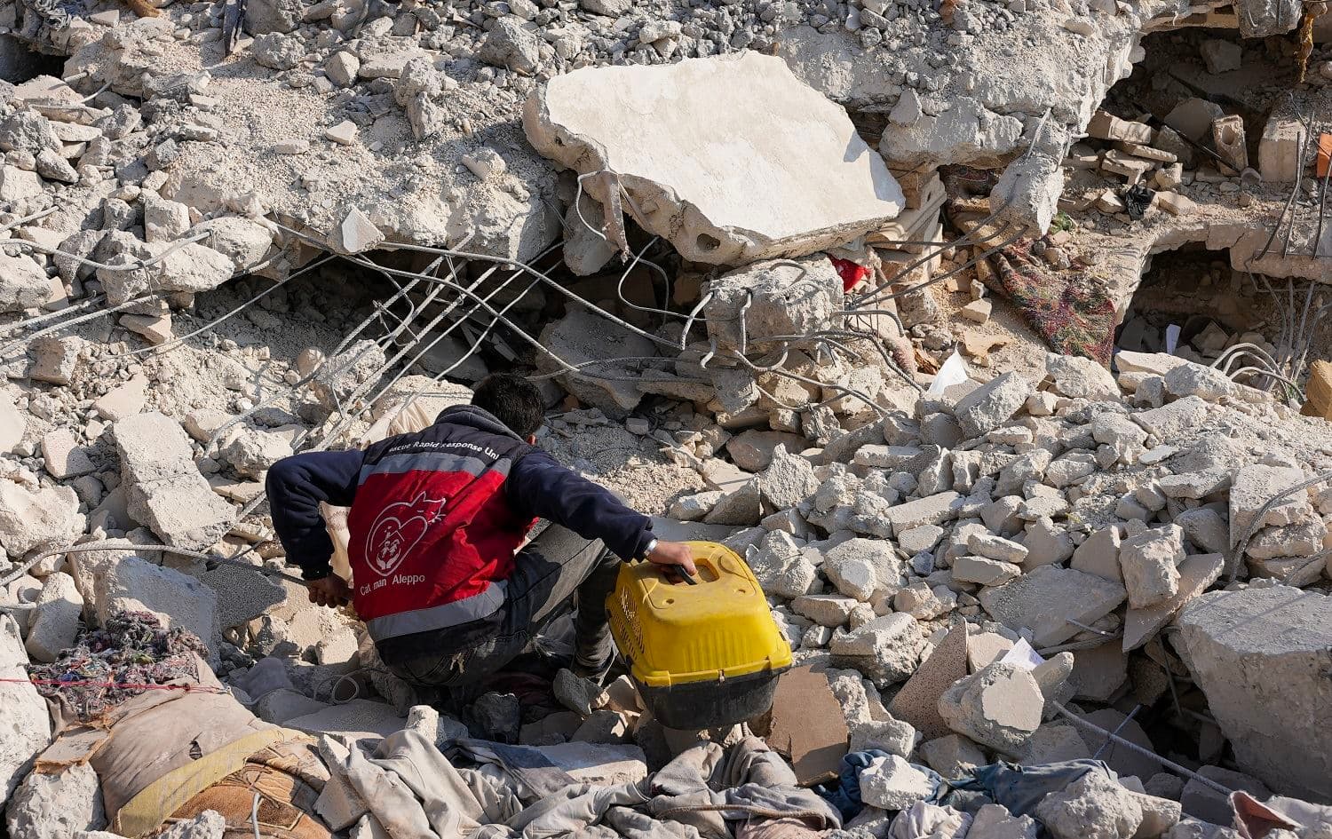 In this picture taken on February 24, 2023, a volunteer searches for animals in the rubble of an earthquake-devasted building in Jindiris, in the rebel-held Syrian province of Aleppo. Photo: Rami al-Sayed/AFP