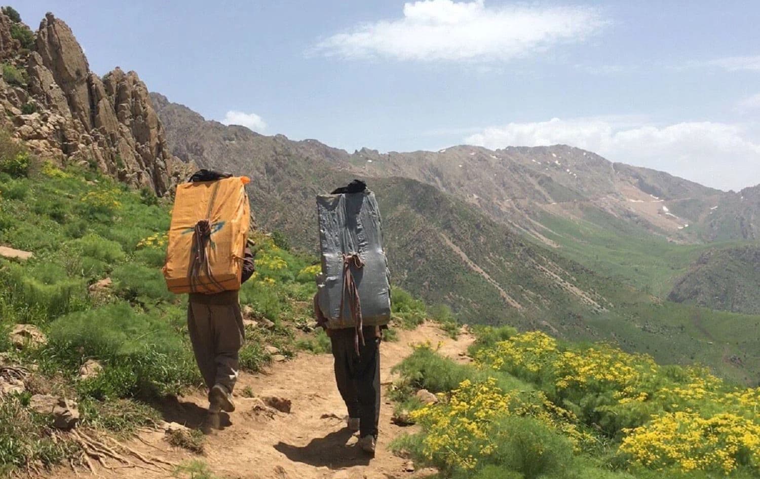Two kolbars carry their loads on Tata Mountain in July 2017. Photo: Fazel Hawramy