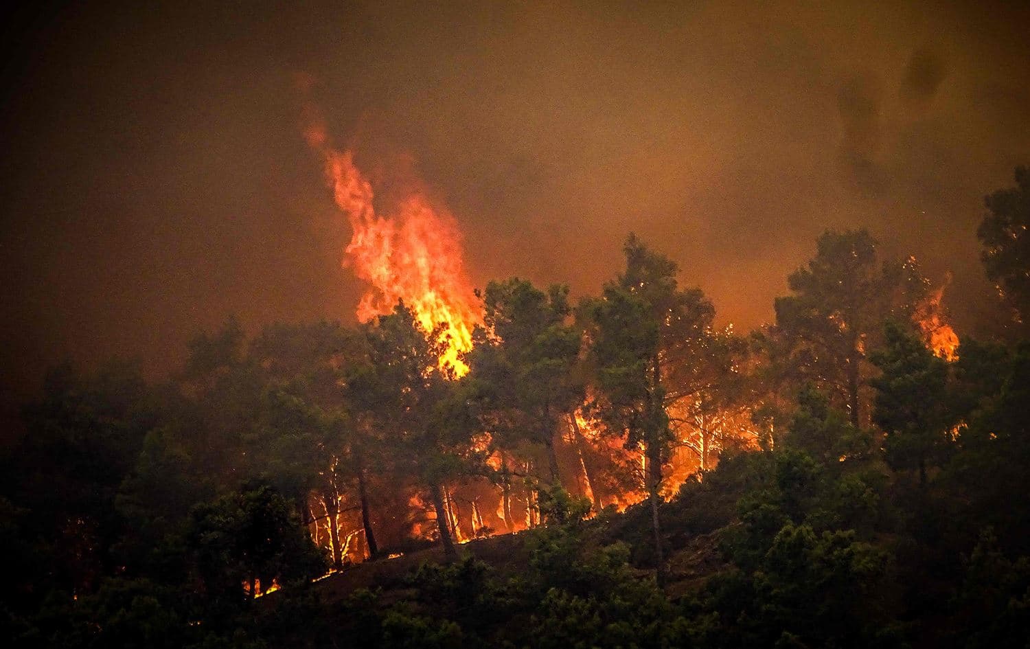 حرائق في جزيرة رودوس اليونانية - الصورة/ AFP