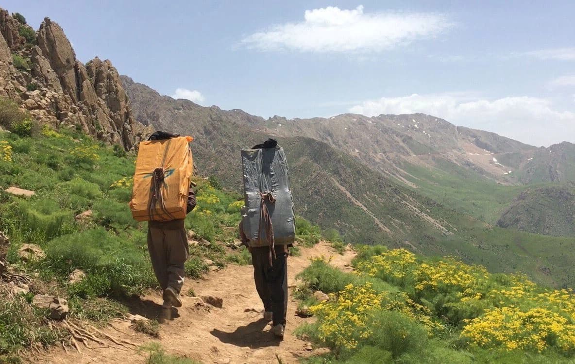 Two kolbars carry their loads on Tata mountain in May 2017. Photo: Fazel Hawramy/Rudaw