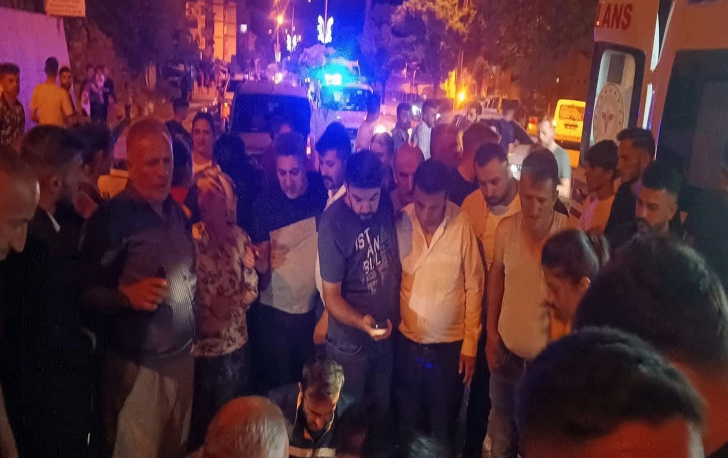 Hakkari'de otomobilin çarptığı kadın yaşamını yitirdi / Foto: AA