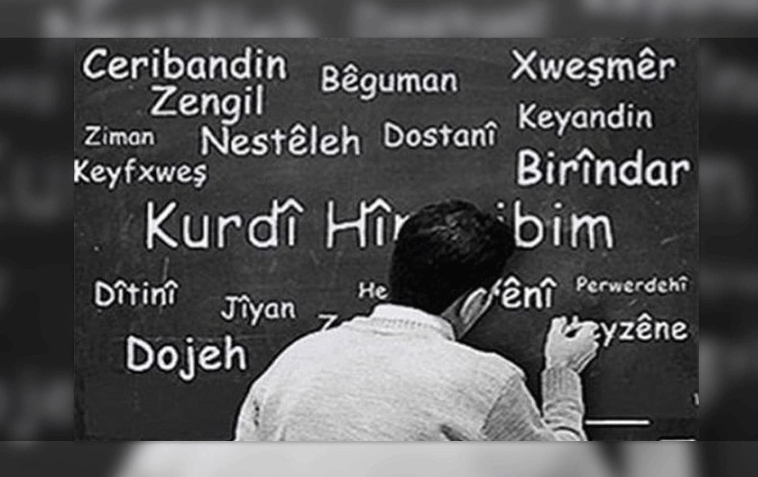 Li Stenbolê kîjan sazî kursên Kurdî didin? / Wêne: Arşîv
