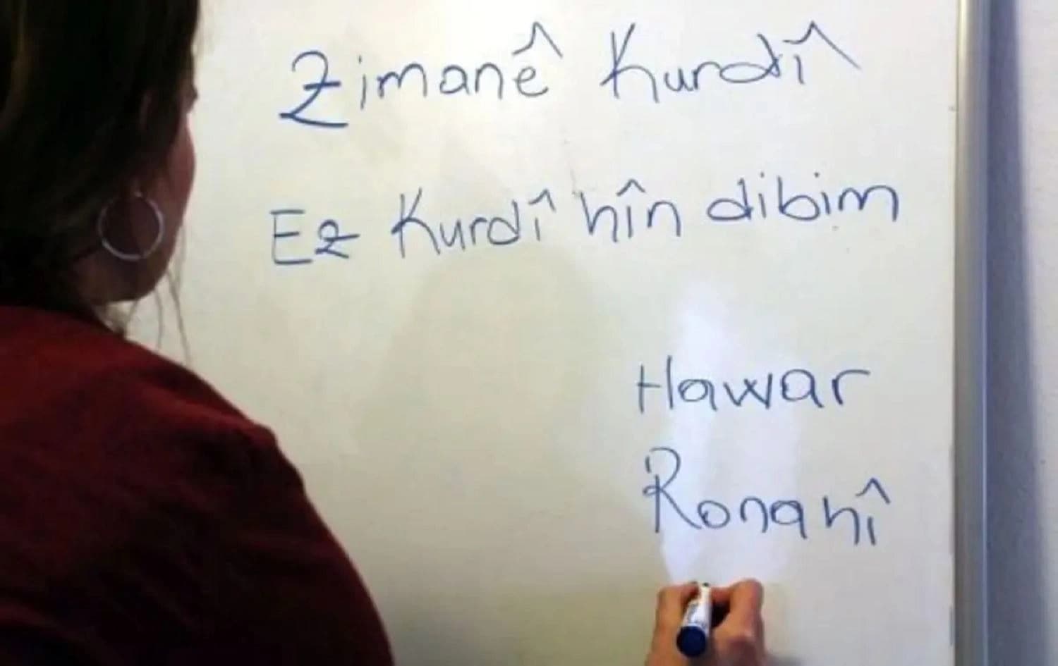 Kursên Komeleya Lêkolînên Kurdî dê hem bi awayê online û hem bi awayê rû bi rû bên dayîn / Wêne: Arşîv