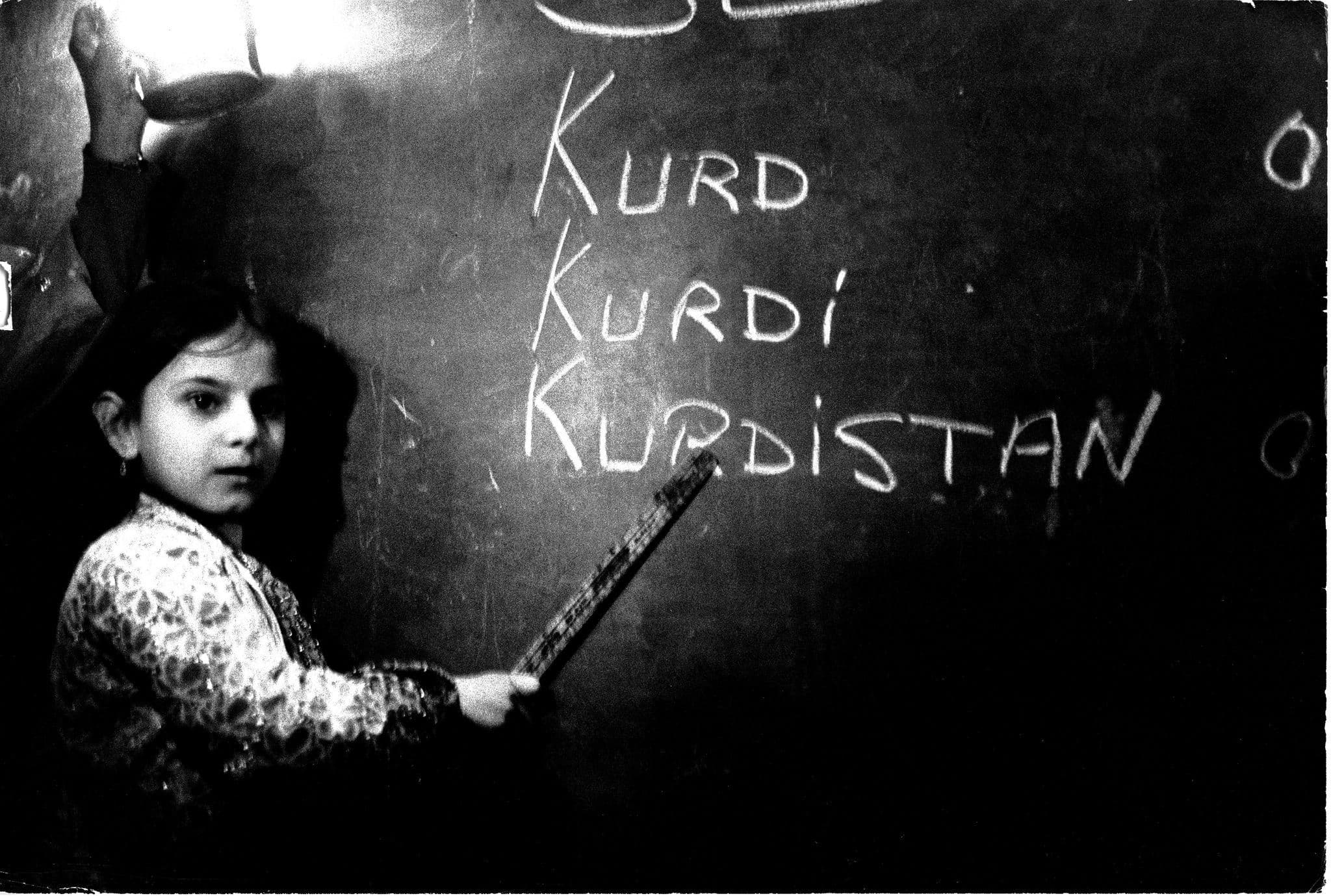 15 Sazî û komleyên ziman û wêjeya Kurdî derbarê salvegera 100emîn a Komara Tirkiyeyê daxuyaniyek parve kir / Wêne: Arşîv