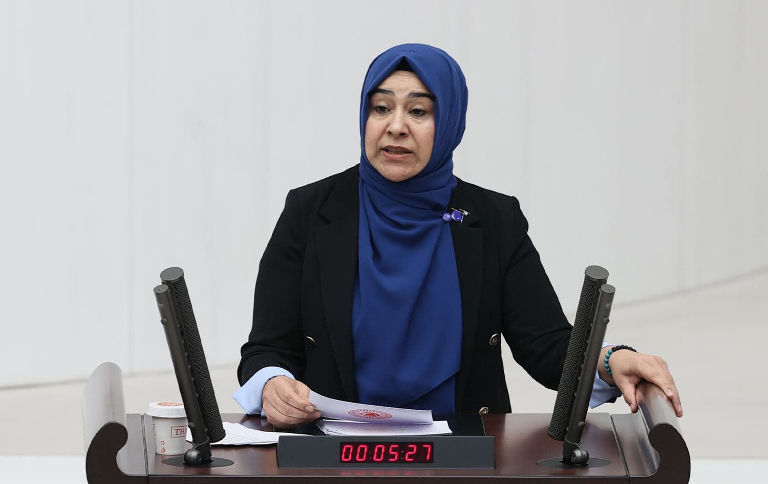 Parlamentera Dem Partiyê Gulderen Varli/Wêne: AA