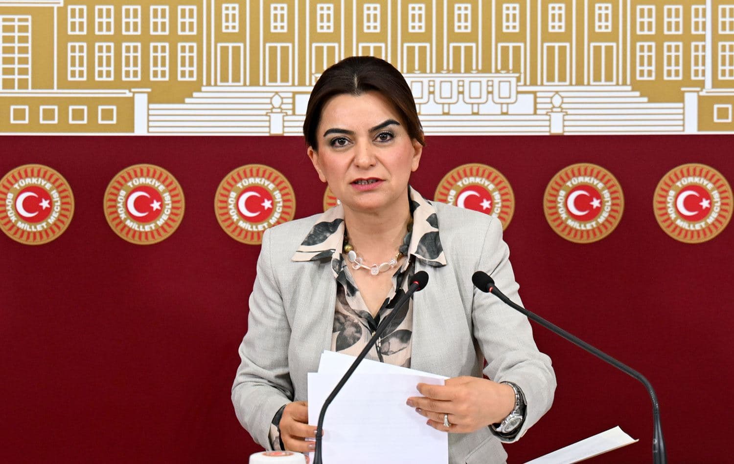  DEM Parti Grup Başkanvekili Gülistan Kılıç Koçyiğit