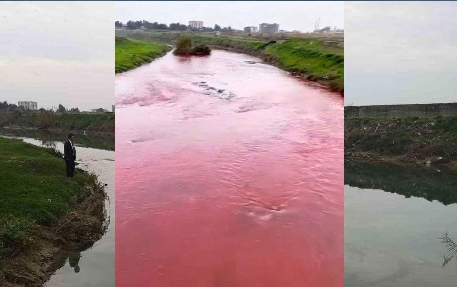 Berdan Nehri / Foto: İHA