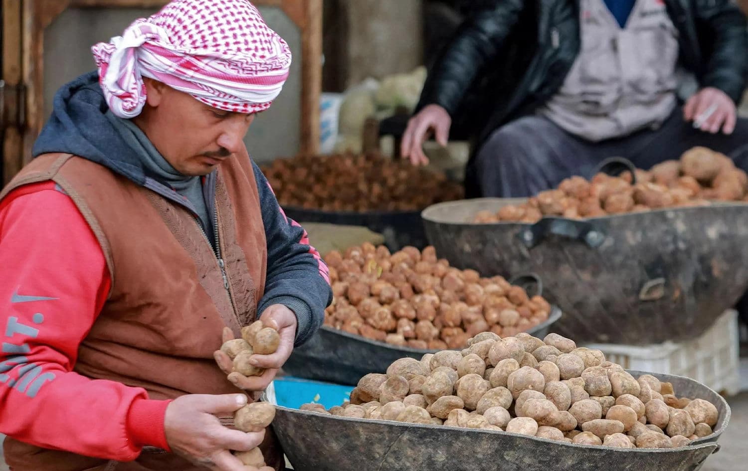 A merchant sorts through desert truffles at a stall in a market in the city of Hama in west-central Syria on March 6, 2023. Photo: Louai Beshara/AFP