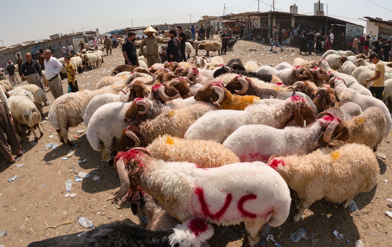 Photo: Bilind T. Abdullah/Rudaw