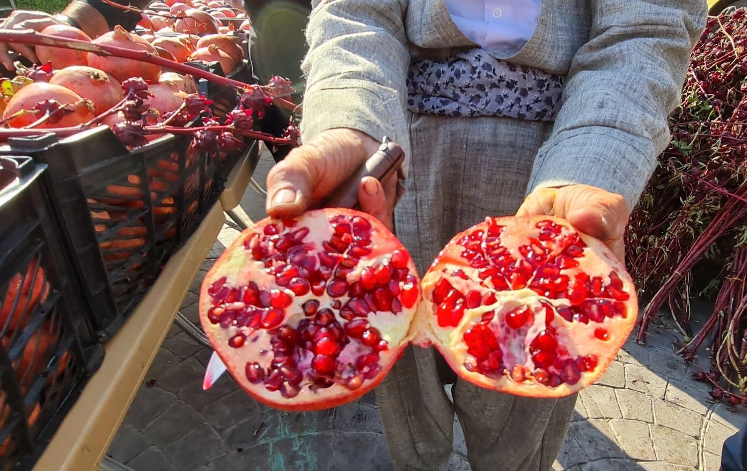 توێژینەوەیەک: هەنار مەترسیی تووشبوون بە چەوریی جگەر کەمدەکات