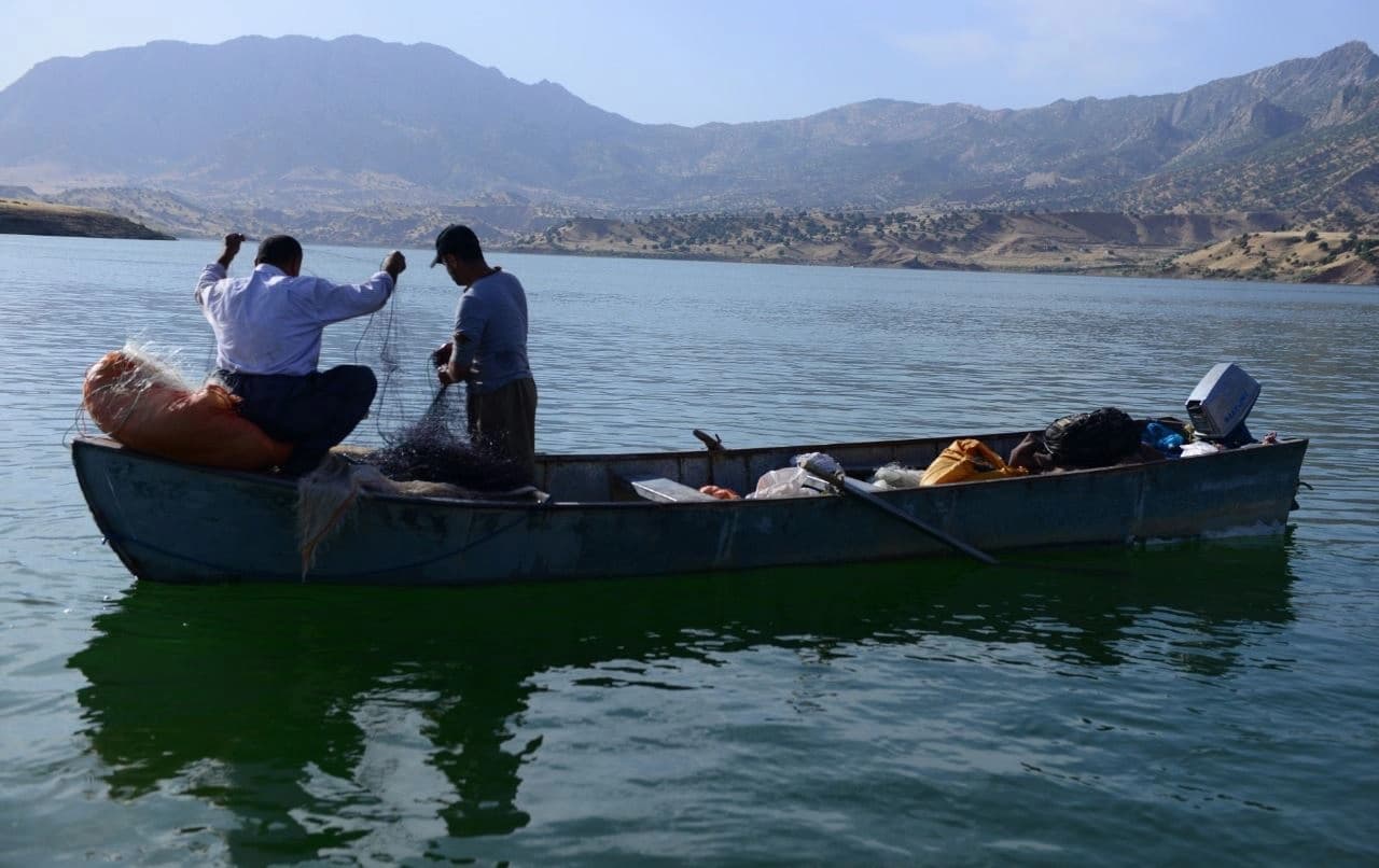 ساڵانە قەدەخەی راوە ماسی لە 5ـی ئادارەوە دەستپێدەکات