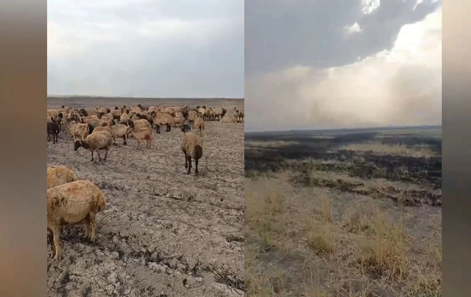 The aftermath of the fire in Sharazoor. Photo: Rudaw.