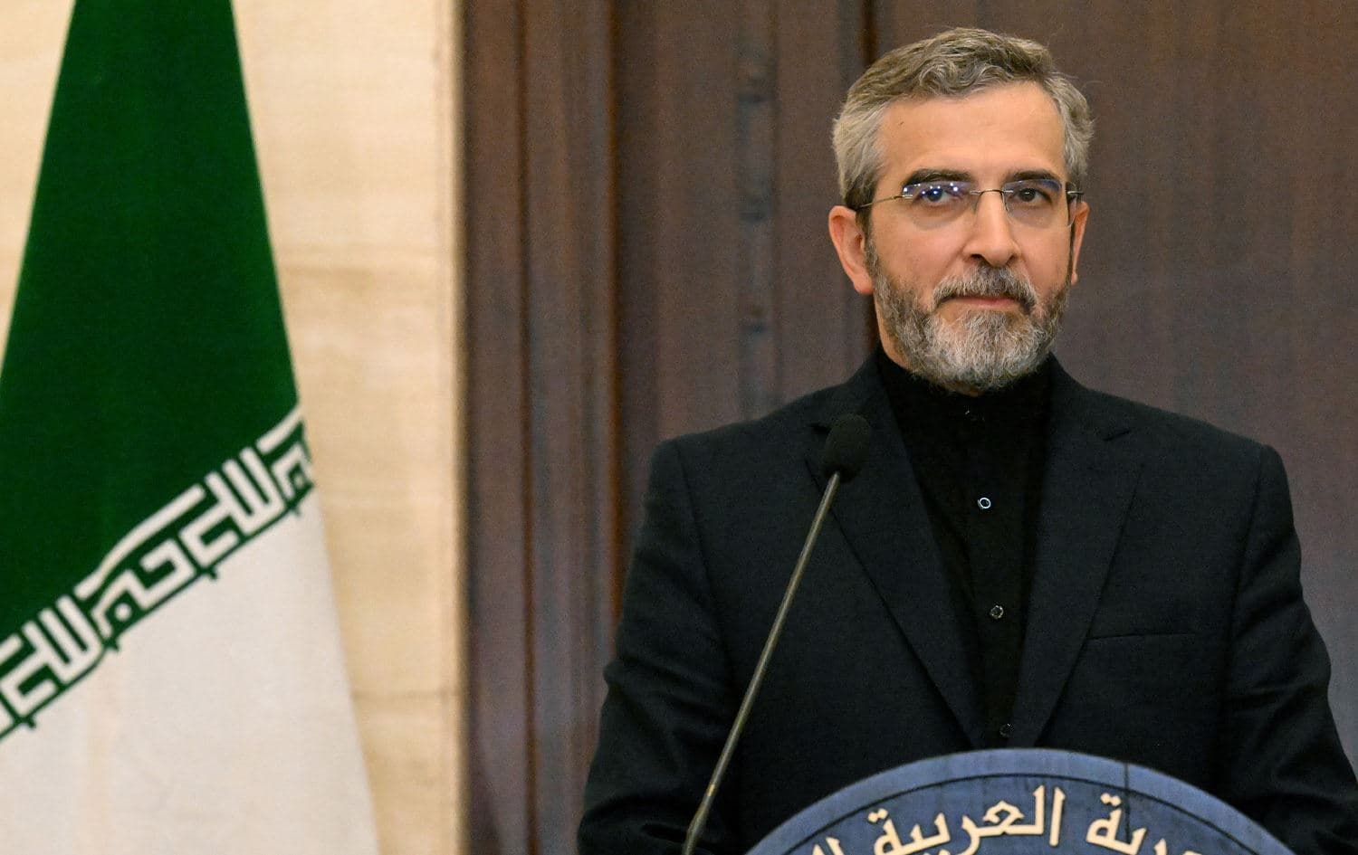 Iran's acting Foreign Minister Ali Bagheri hold a joint press conference with the Syrian Foreign Minister at the Foreign Ministry in Damascus on June 4, 2024. Photo: Louai Beshara/AFP