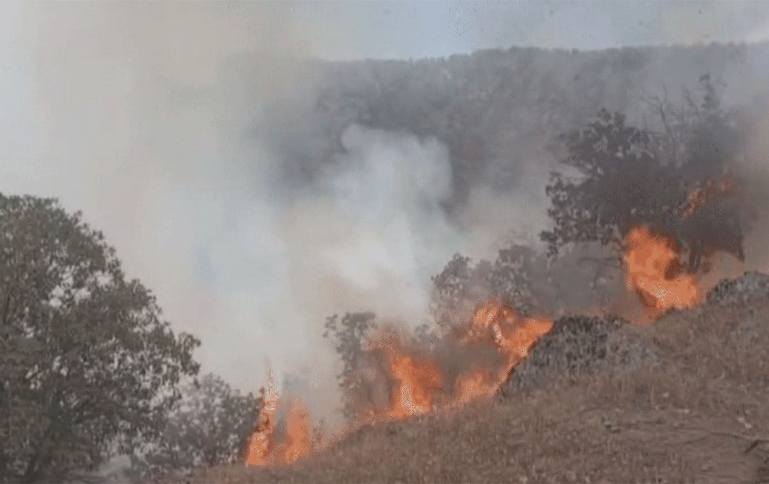 Forest fire in Marivan. Photo: Chya the Green Organization
