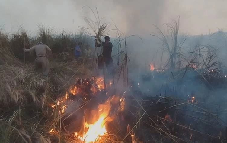 وێنەیەکی ئەرشیڤیی ئاگر لە رۆژهەڵاتی کوردستان 