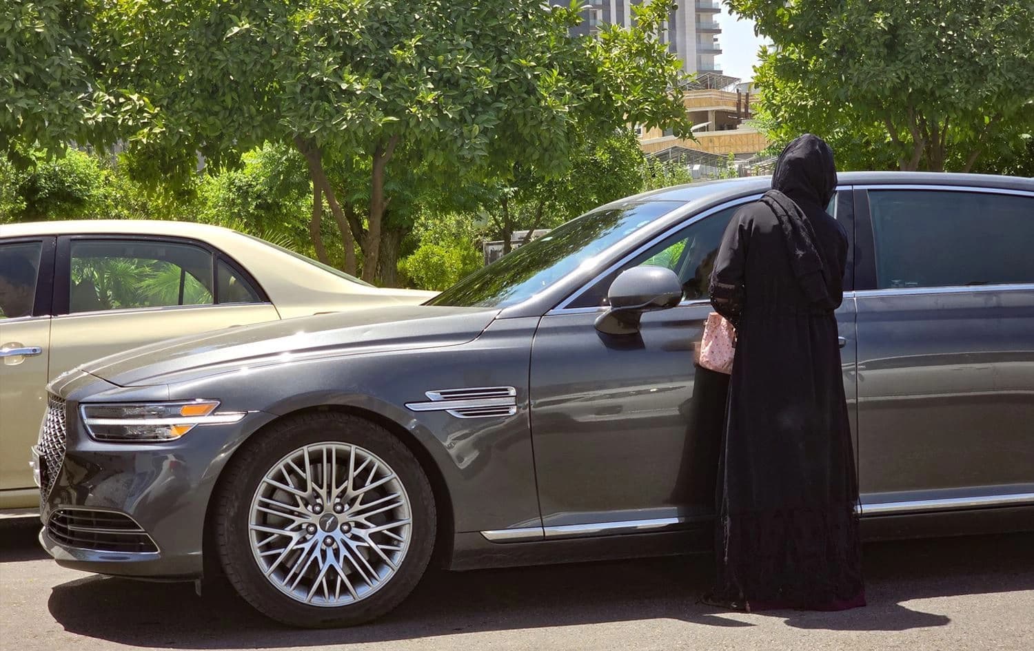 سواڵکەرێک لە شەقامێکی هەولێر. وێنە: بڵند تاهیر - رووداو