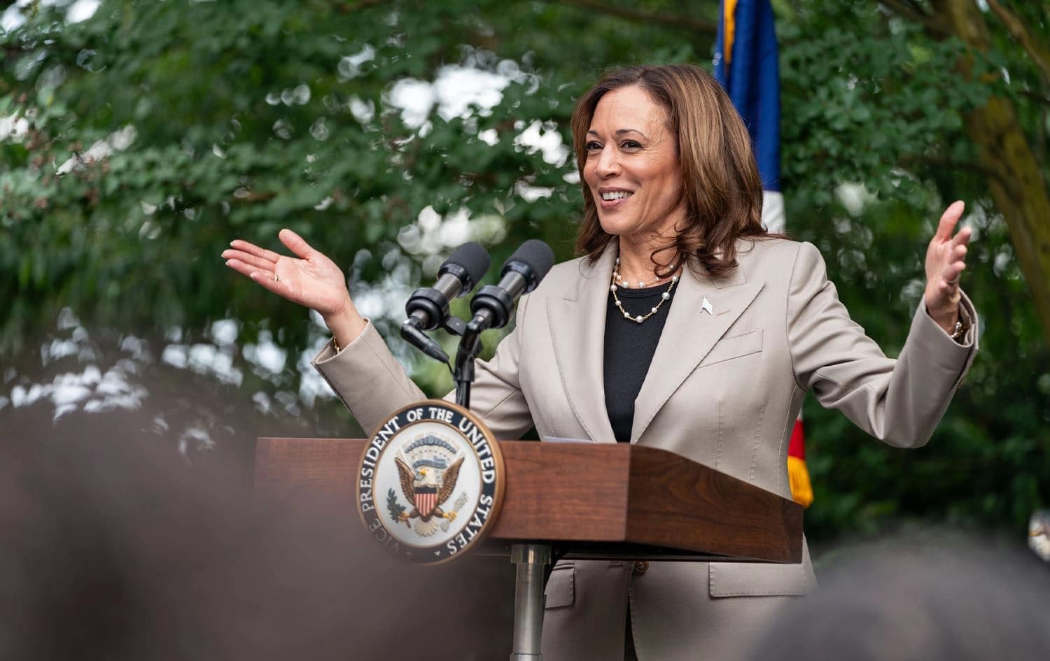 US Vice President Kamala Harris speaking during an event in the Vice President’s Residence in Washington DC on July 18, 2024. Photo: Harris on X, @VP