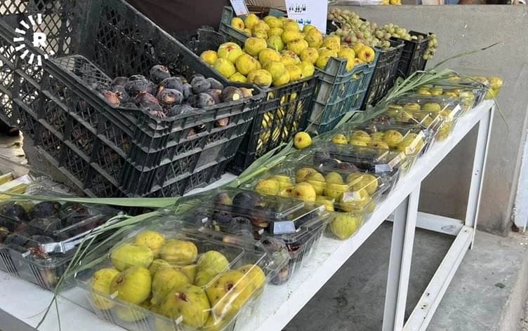هەنجیری هەرێمی کوردستان
