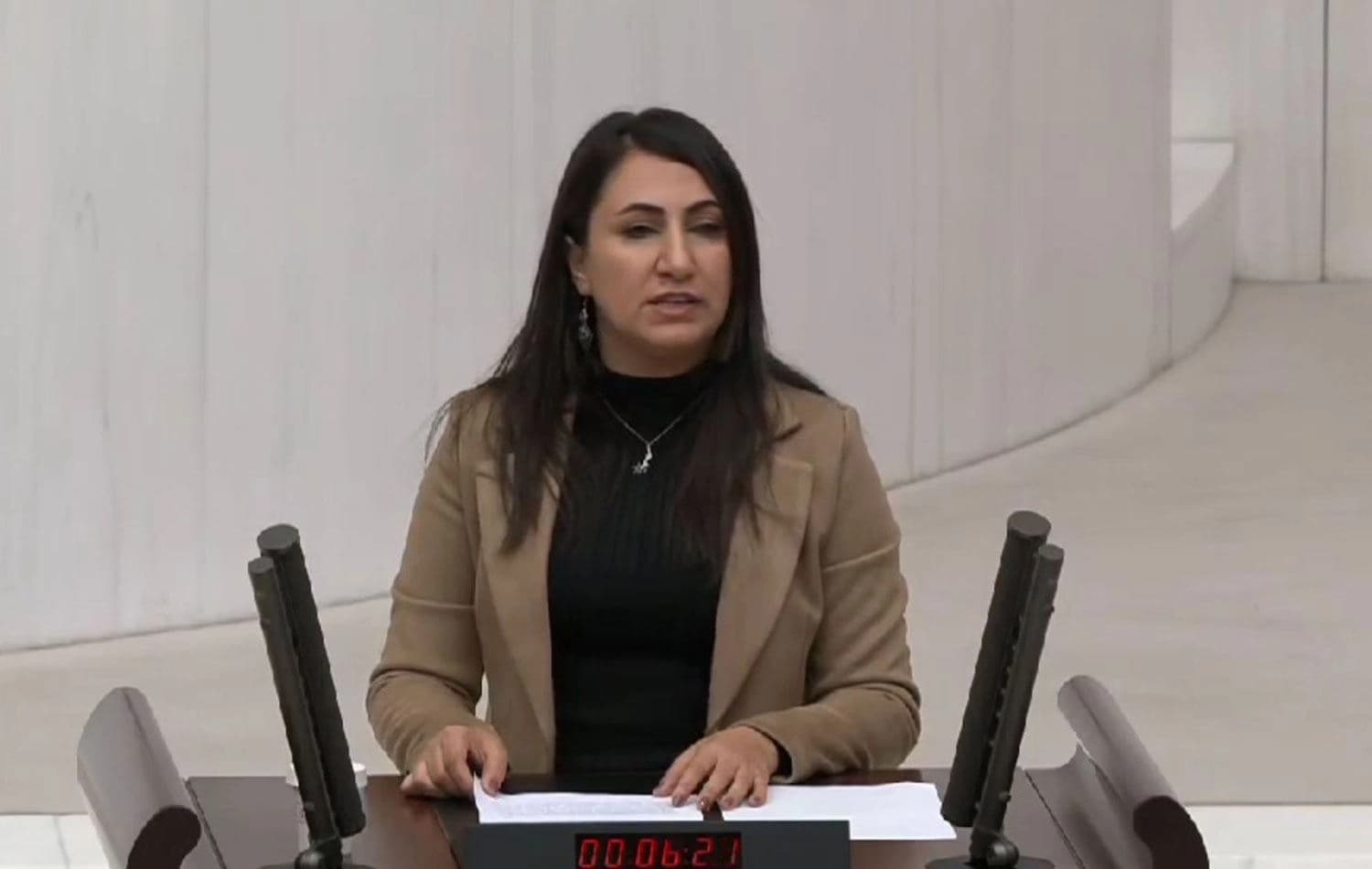 DEM Parti Batman Milletvekili Zeynep Oduncu 