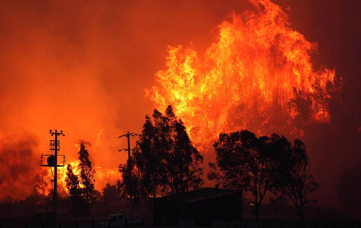 Fire raging through a forest in Turkey on August 16, 2024. Photo: TRT Haber