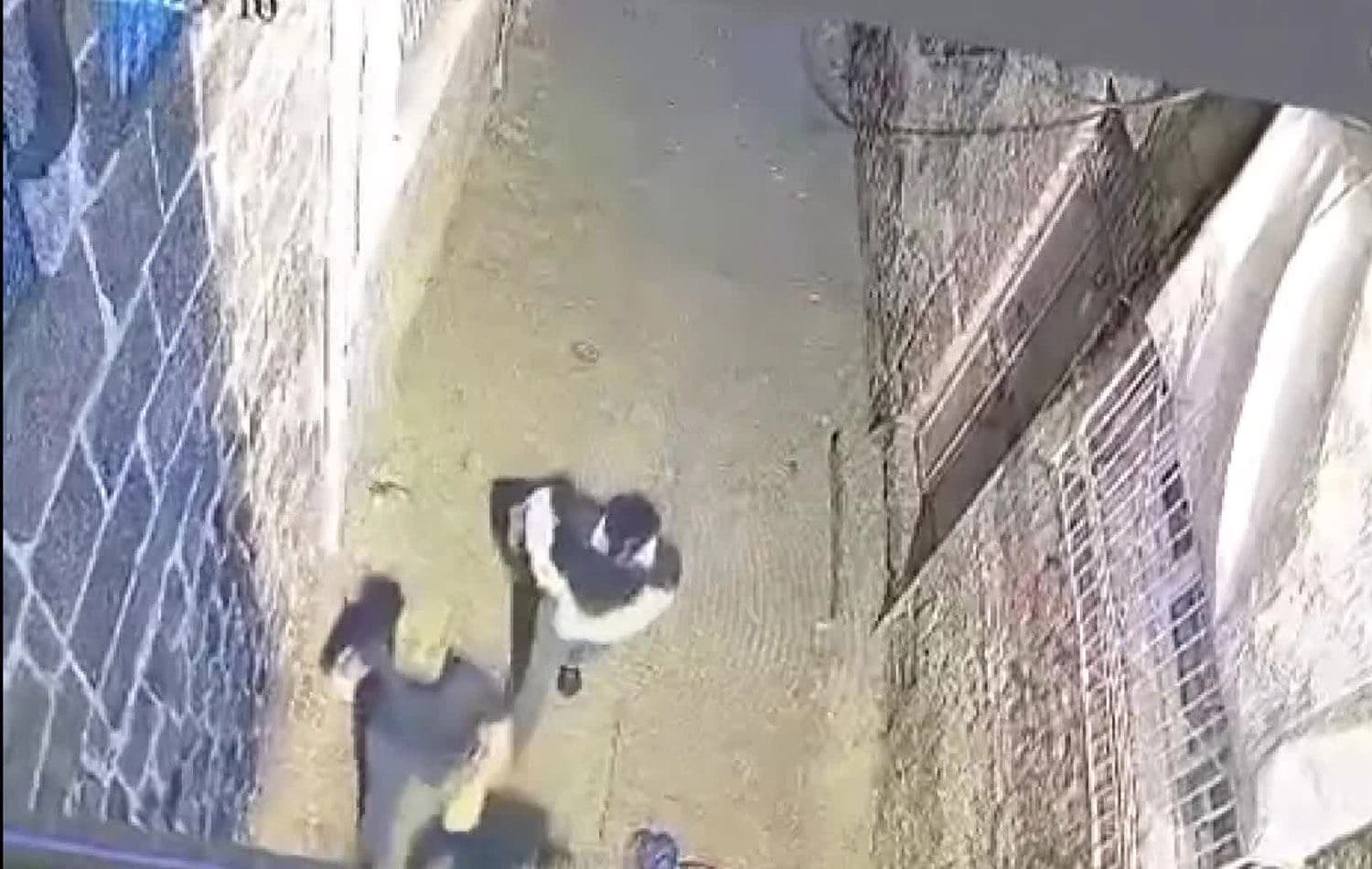 Video alıntısı / ANKA