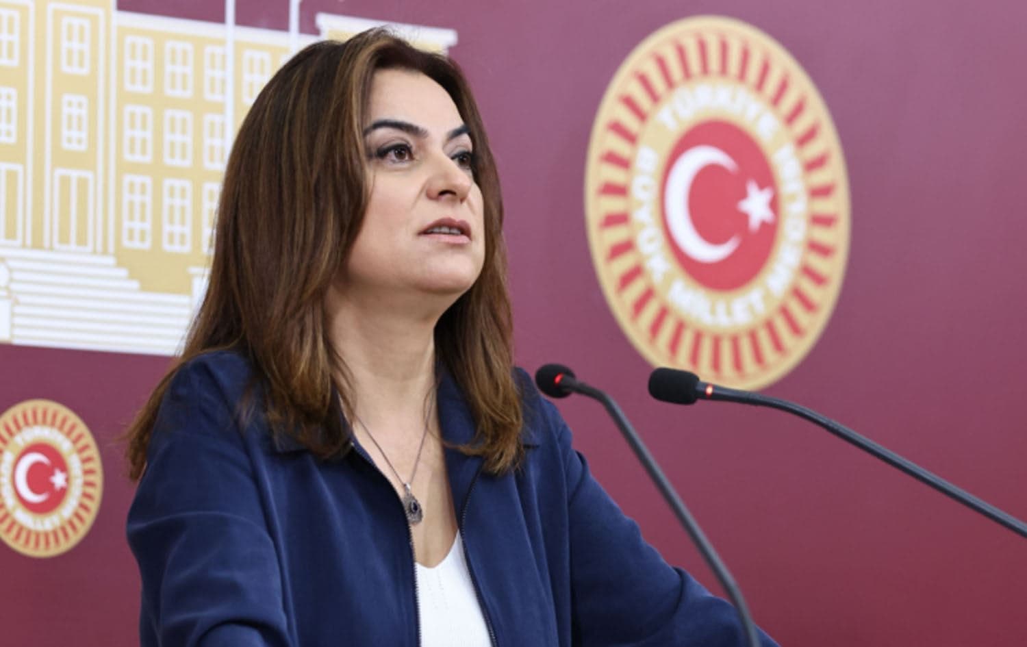 Gulistan Kilic Kocyigit, deputy head of the pro-Kurdish Peoples' Equality and Democracy Party (DEM Party) parliamentary bloc speaking at the Turkish parliament on August 26, 2024. Photo: DEM Party