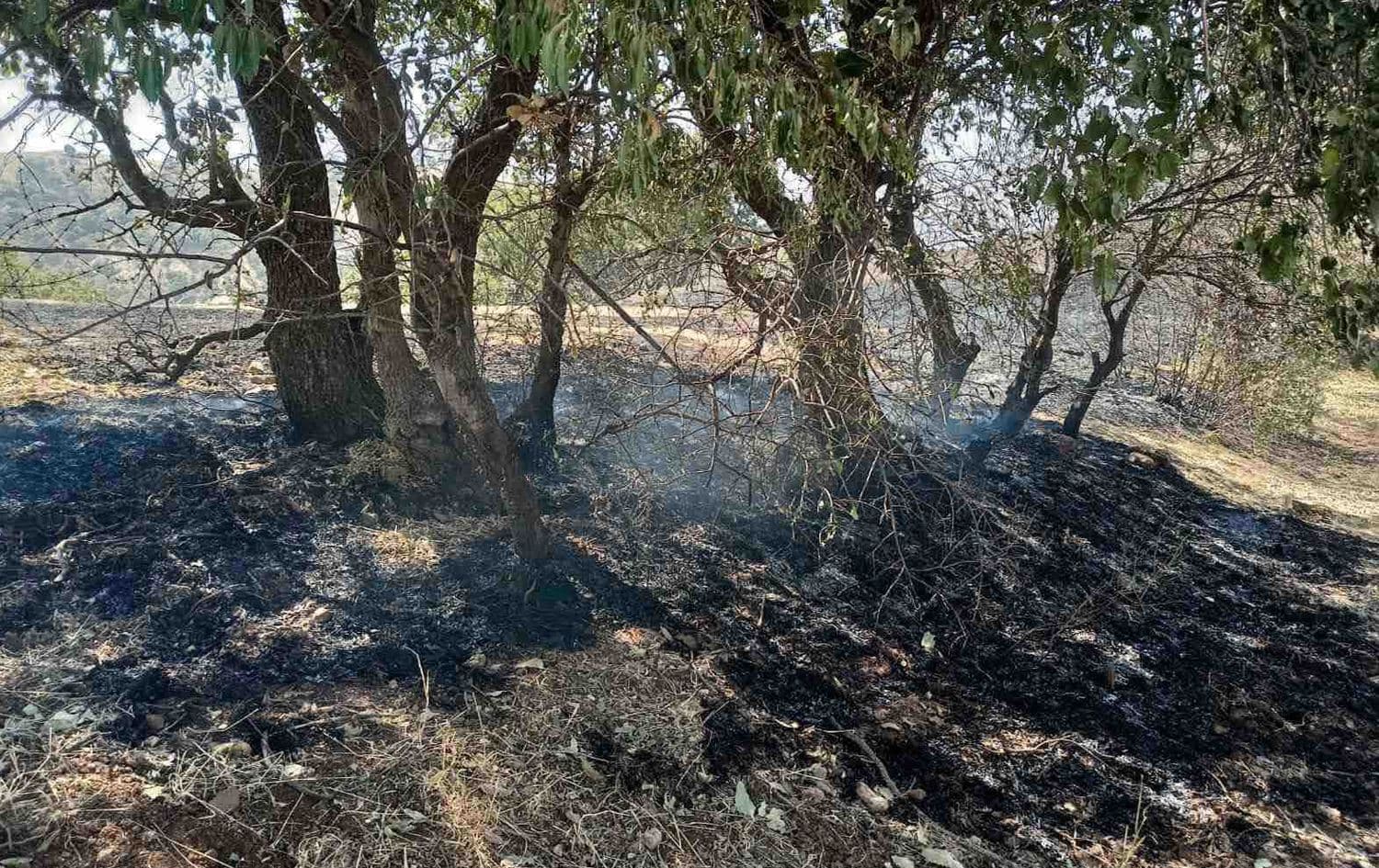 دیمەنێکی ئاگرەکە