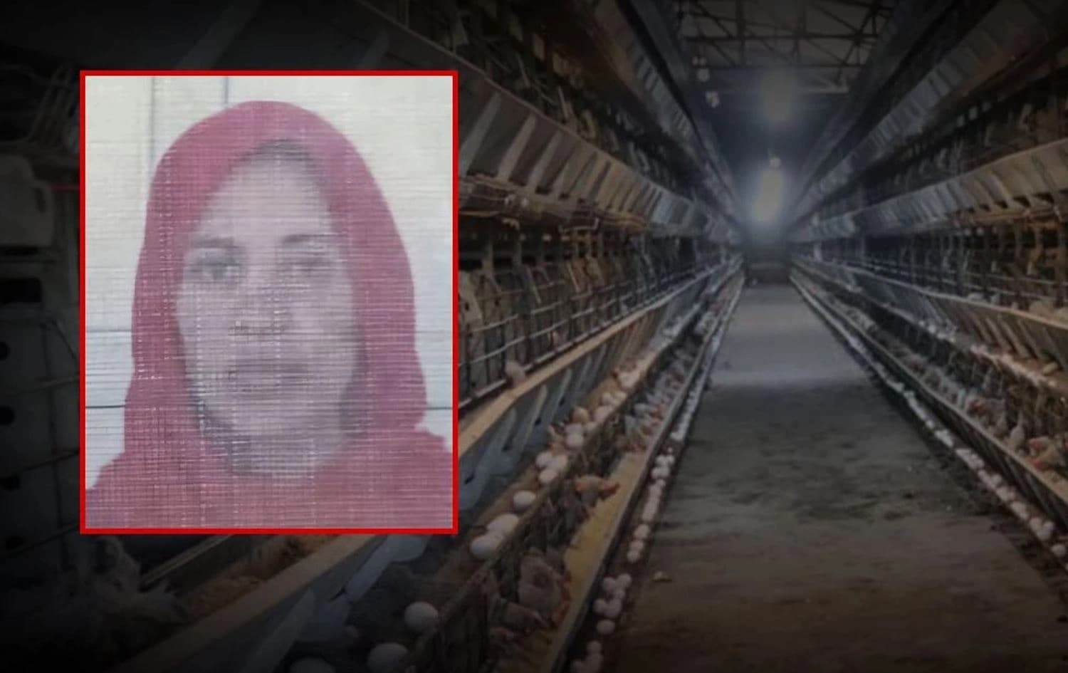 Hasne El Asad dema li kargeha êmê mirişkan kar dikir stûyê wê ket ber makîneyê / Wêne: Medyaya civakî