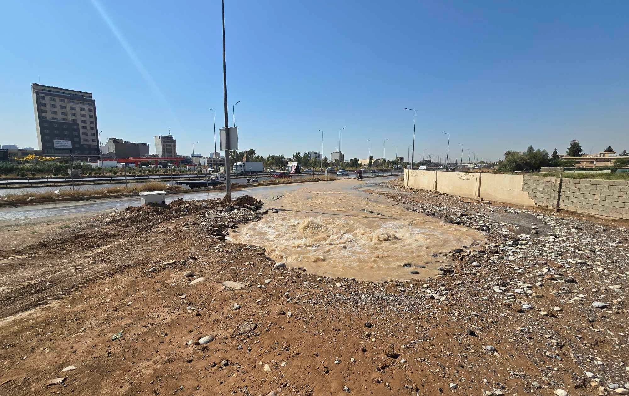 دیمەنی شکانی بۆرییەکە
