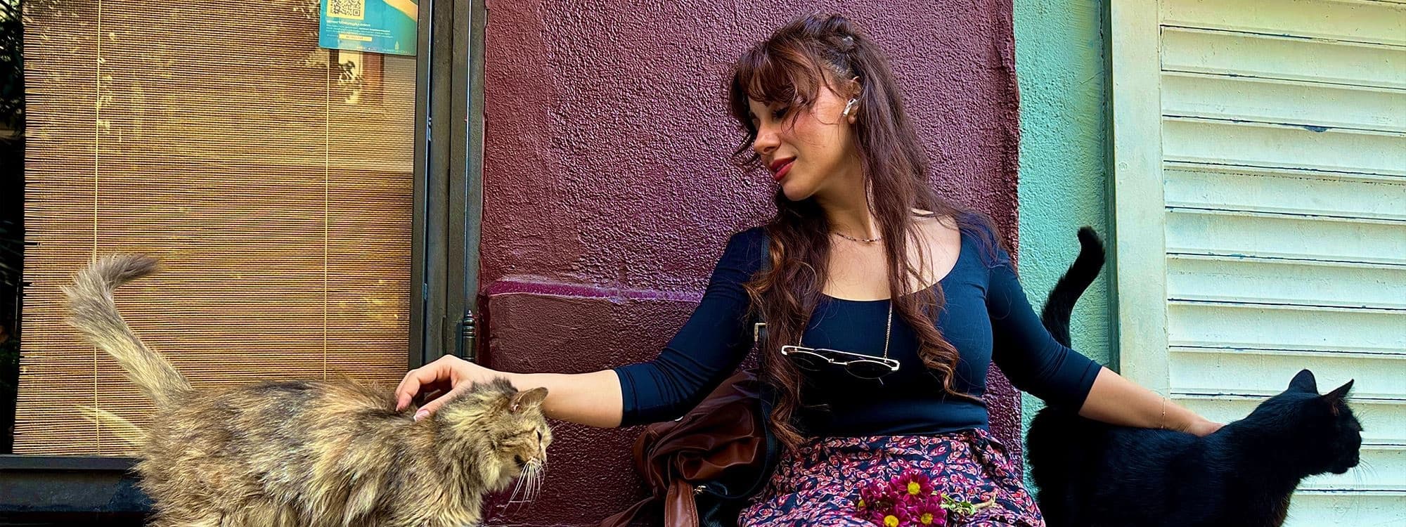 FOTO - Kediler şehri İstanbul