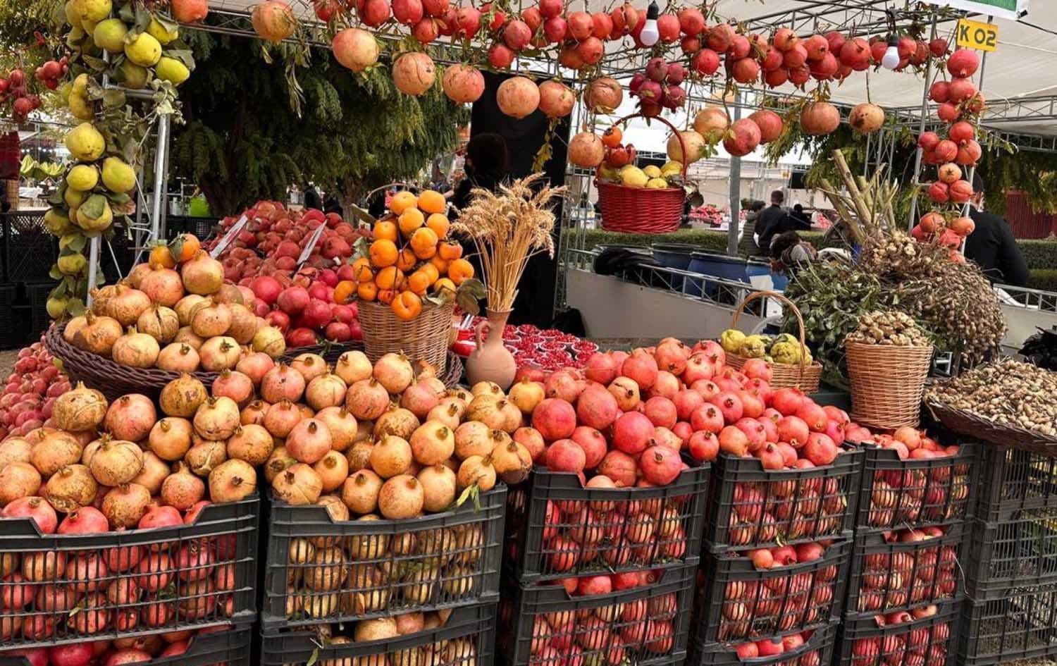 Halabja pomegranate festival. Photo: Rudaw 