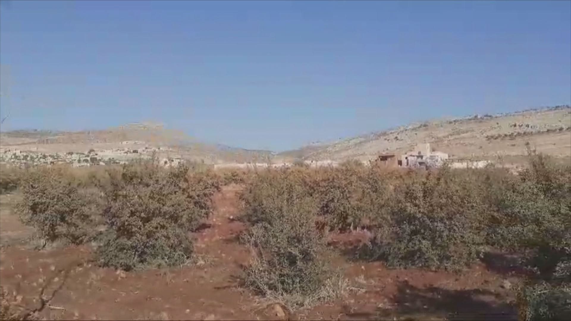 Farm of a Kurdish farmer in Afrin. Photo: submitted 