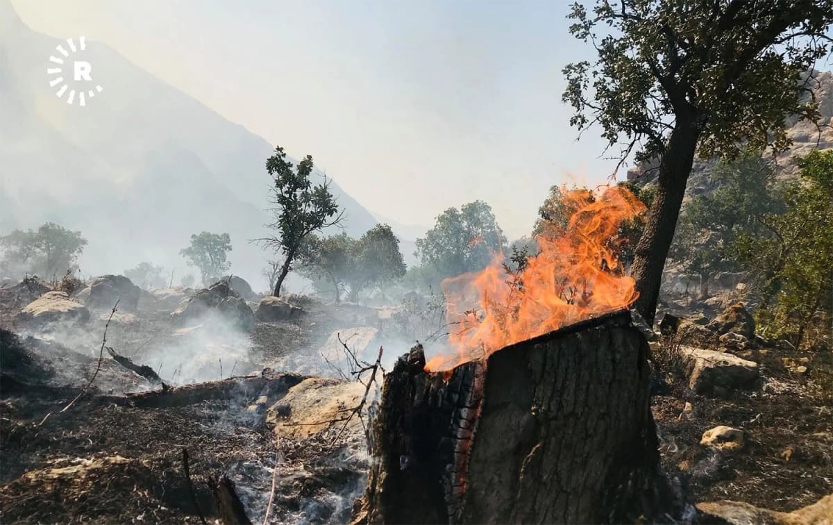 Over 2,200 fires recorded in Duhok this year | Rudaw