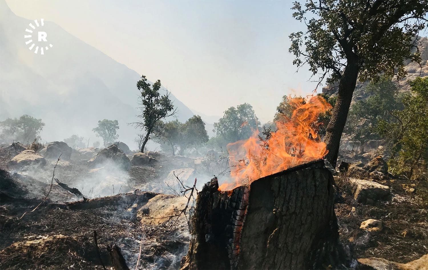 A wildfire in Kurdistan Region. Photo: Rudaw/file 