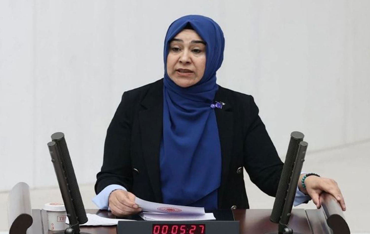 DEM Parti Van Milletvekili Gülderen Varli